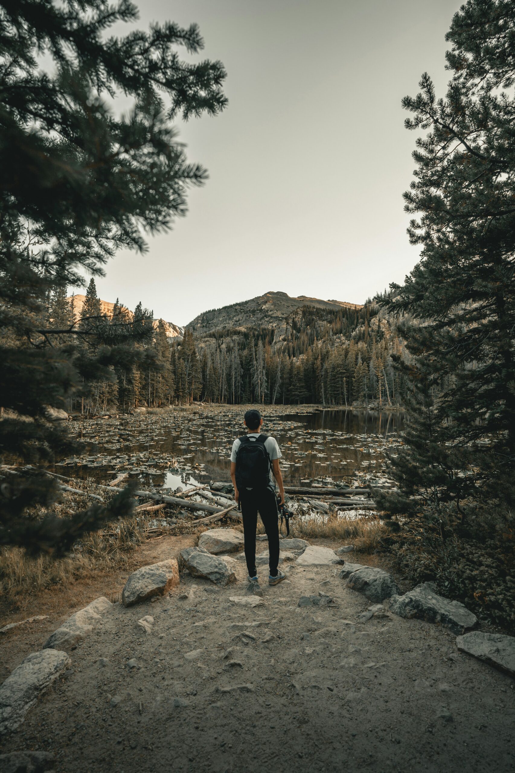 Letting go of Emotional Baggage.