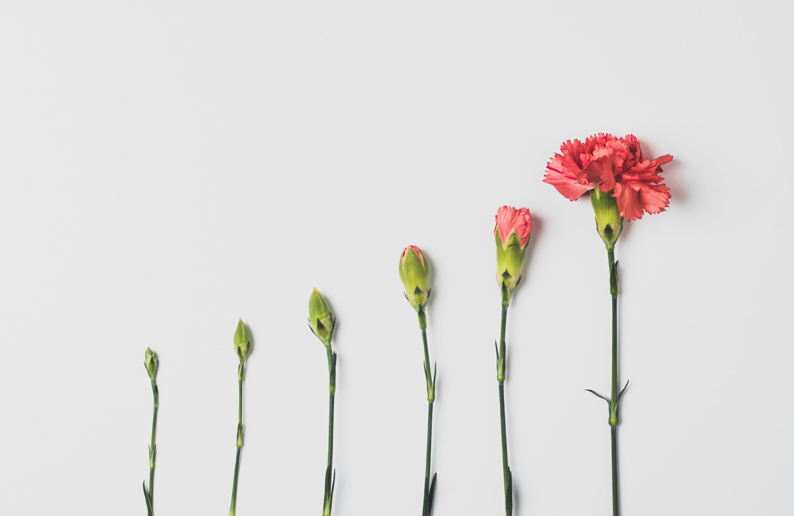 Personal Growth Resource Center